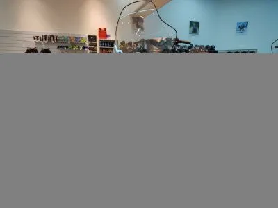 Снегоход БТС Арктик - 4Т Лонг Люкс 20 л.с.. эл. запуск. реверс. тормоз белый (машинокомплект)