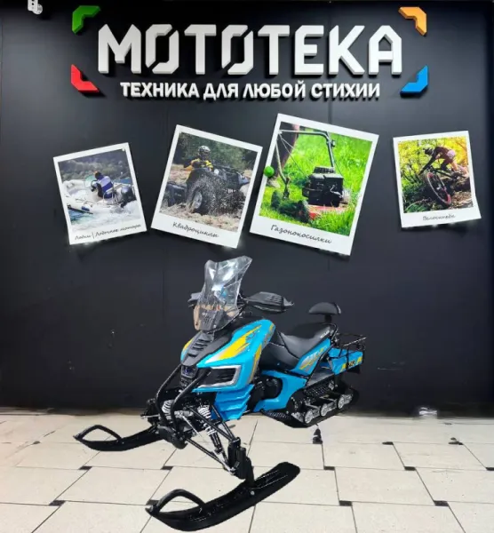 Снегоход MotoLand (Мотолэнд) BARS 200 (машинокомплект) | Мототека