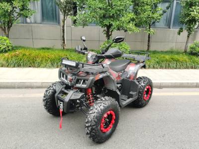 Квадроцикл Motax (Мотакс) ATV Grizlik T200 красный камуфляж (машинокомплект)