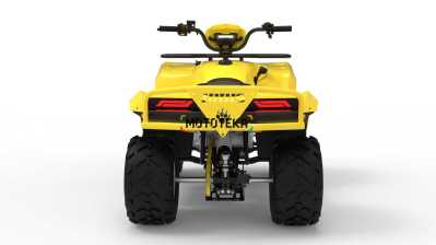Квадроцикл IRBIS (Ирбис) ATV 250 2024 желтый с ПСМ