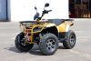 Квадроцикл IRBIS (Ирбис) ATV 250 Premium 2024 зелёный с ПСМ - купить с доставкой, цены в интернет-магазине Мототека