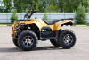 Квадроцикл IRBIS (Ирбис) ATV 250 Premium 2024 зелёный с ПСМ - купить с доставкой, цены в интернет-магазине Мототека