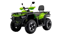 Квадроцикл BASHAN EXPLORER 300 EFI green с ПСМ