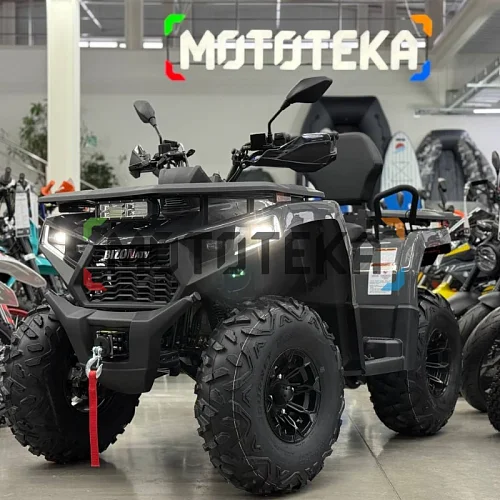 Мини-обзор на квадроцикл BIZON 250 LUX EFI с ПСМ
