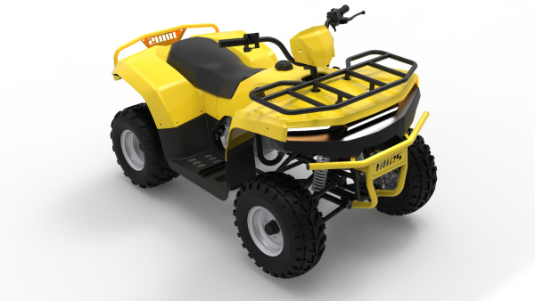 Квадроцикл IRBIS (Ирбис) ATV 250 2024 зелёный с ПСМ | Мототека