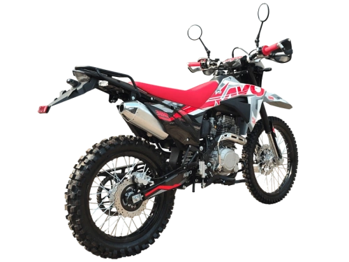 Мотоцикл кроссовый / эндуро KAYO (Кайо) T1-L 300 Enduro (PR300) 21/18 с ПТС фото 2