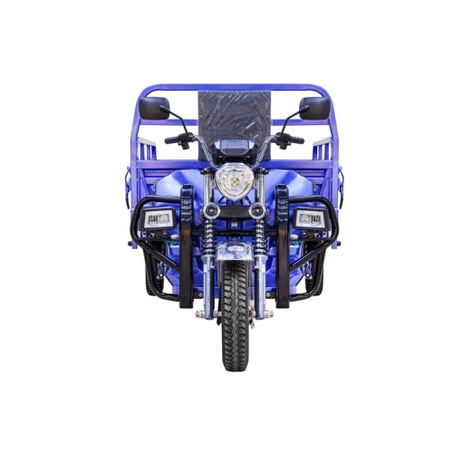 Грузовой электрический трицикл Rutrike (Рутрайк) Эксперт ПРО 2000 фото 2