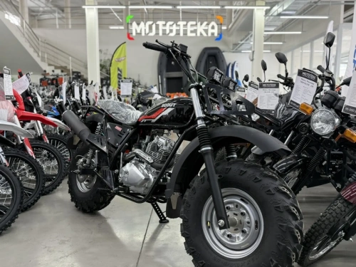 Мотоцикл внедорожный СКАУТ-10 PR300 фото 8