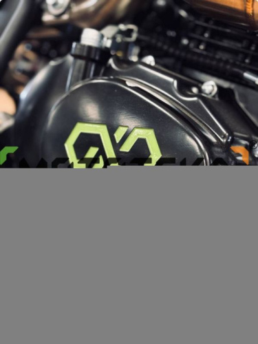Мотоцикл кроссовый / эндуро OXO (Оксо) Venom 250 (GN-049) зелёный фото 28