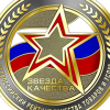 Снегоход Promax (Промакс) 210 SNOWPRO (машинокомплект) - купить с доставкой, по выгодной цене в интернет-магазине Мототека