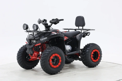 Квадроцикл X - RIDE (ИКС - РАЙД) М27-200 чёрный (машинокомплект) Квадроцикл X - RIDE (ИКС - РАЙД) М27-200 чёрный (машинокомплект)