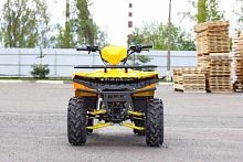 Квадроцикл IRBIS (Ирбис) ATV 200 2024 зелёный с ПСМ