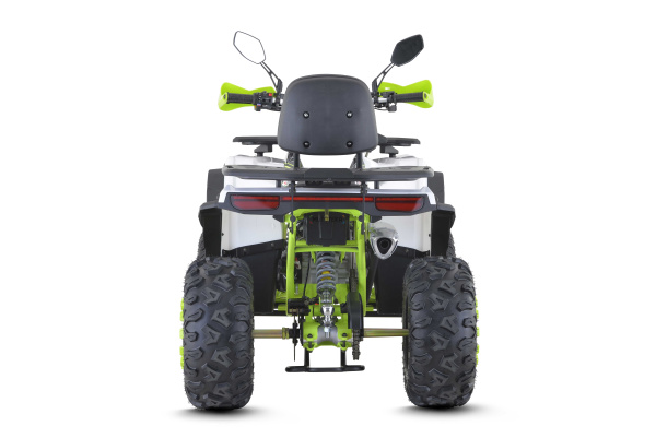 Квадроцикл FXMOTO (ФХМото) WASP 200 LUX белый (машинокомплект) | Мототека