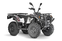 Квадрицикл Baltmotors (Балтмоторс) Striker 400 EFI с ПСМ