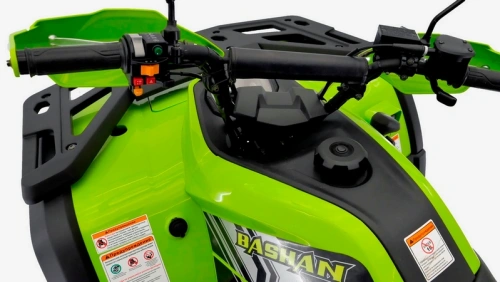 Квадроцикл BASHAN EXPLORER 300 EFI green с ПСМ фото 17 Квадроцикл BASHAN EXPLORER 300 EFI green с ПСМ фото 17