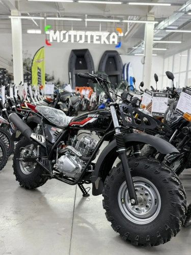 Мотоцикл внедорожный СКАУТ-10 PR300