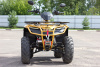 Квадроцикл IRBIS (Ирбис) ATV 250 Premium 2024 зелёный с ПСМ - купить с доставкой, цены в интернет-магазине Мототека