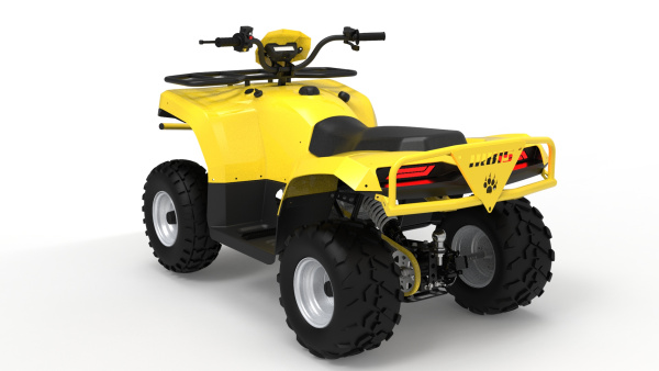 Квадроцикл IRBIS (Ирбис) ATV 250 2024 зелёный с ПСМ | Мототека