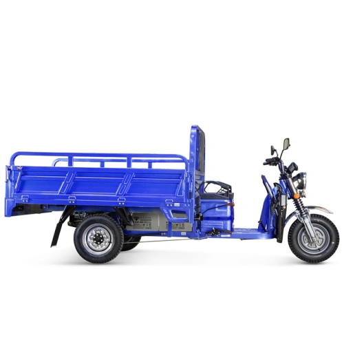 Грузовой электрический трицикл Rutrike (Рутрайк) Эксперт ПРО 2000 фото 9