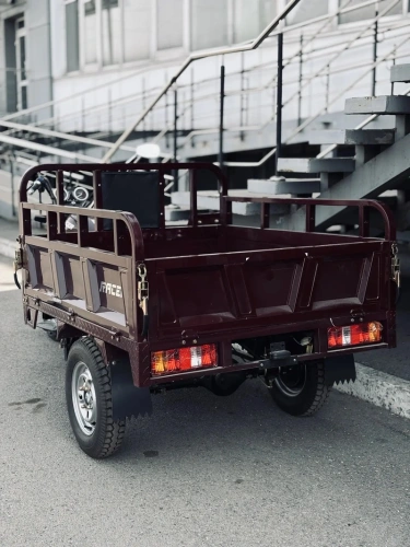 Трицикл грузовой Racer (Рейсер) RC200ZH Muravei с ПСМ фото 2 Трицикл грузовой Racer (Рейсер) RC200ZH Muravei с ПСМ фото 2