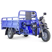 Грузовой электрический трицикл Rutrike (Рутрайк) Эксперт ПРО 2000