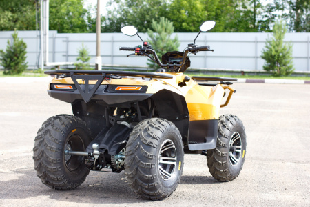 Квадроцикл IRBIS (Ирбис) ATV 250 Premium 2024 зелёный с ПСМ - купить с доставкой, цены в интернет-магазине Мототека